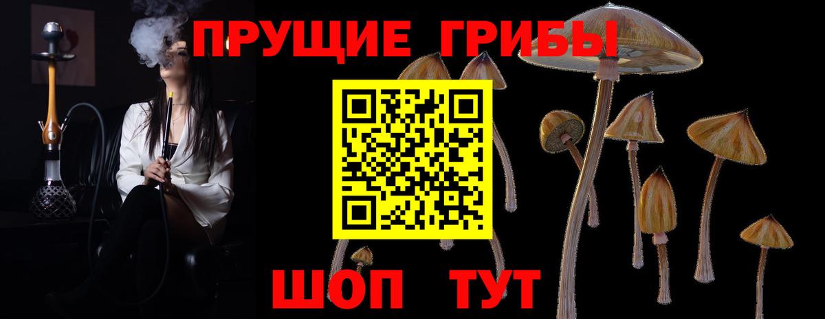 Галлюциногенные грибы Cubensis  Вход с VPN  Псилоцибиновые грибы мицелий  Алапаевск 